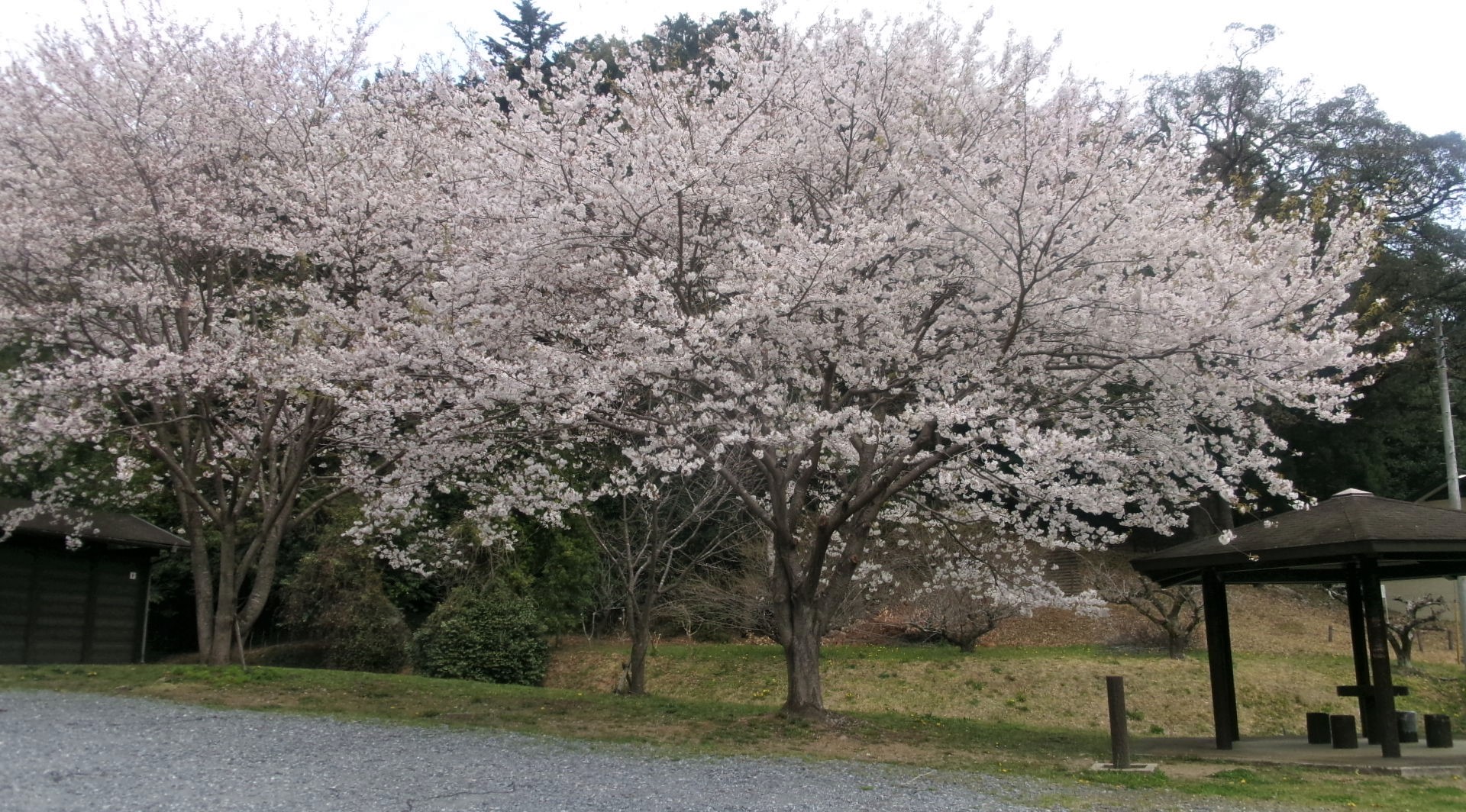 高野倉1