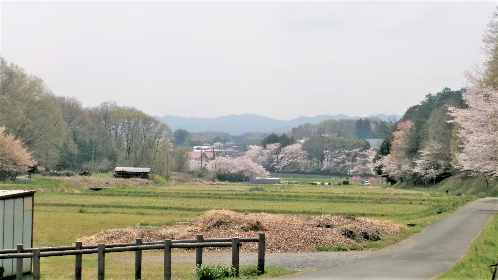 表題
