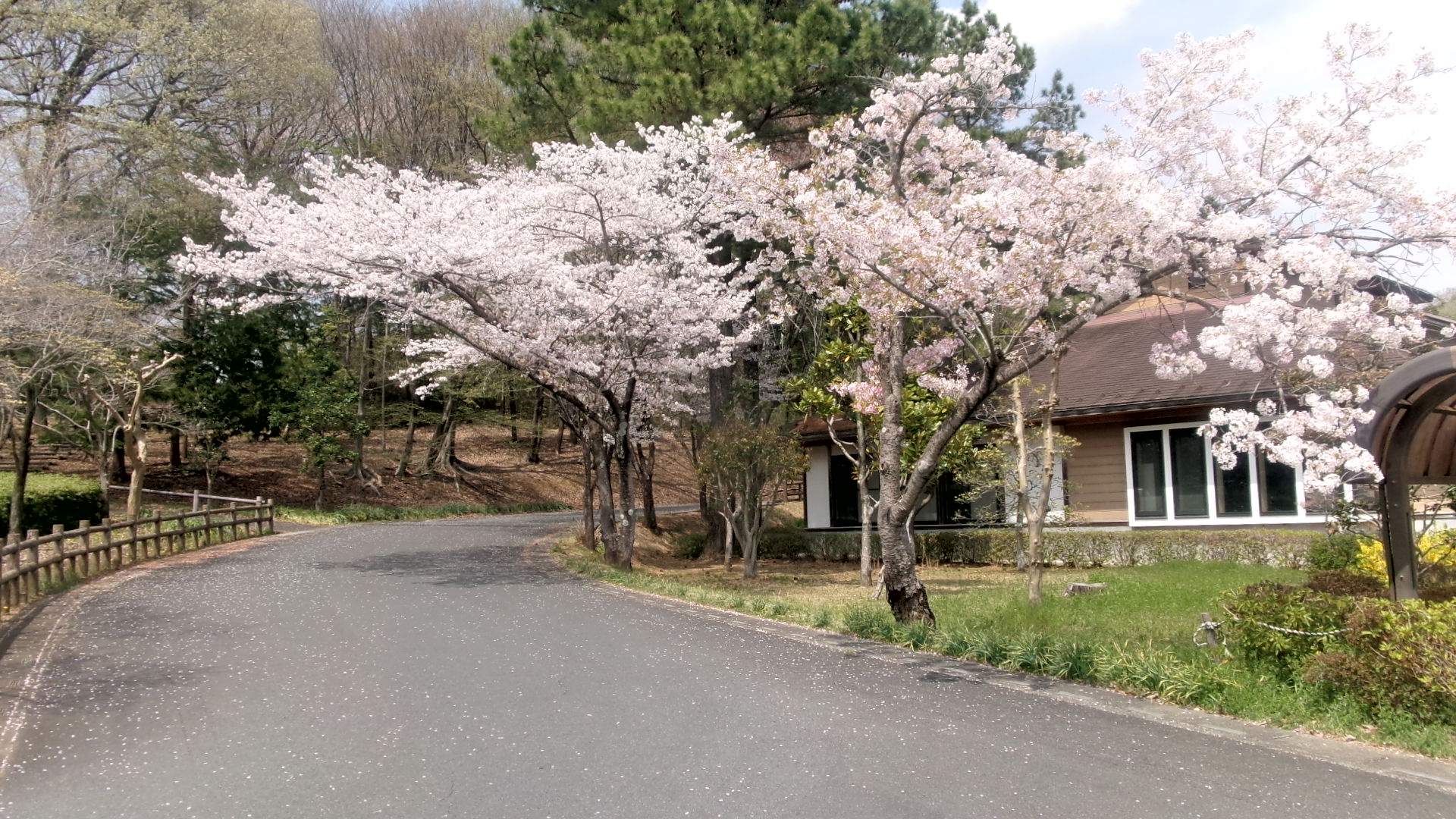 農村1