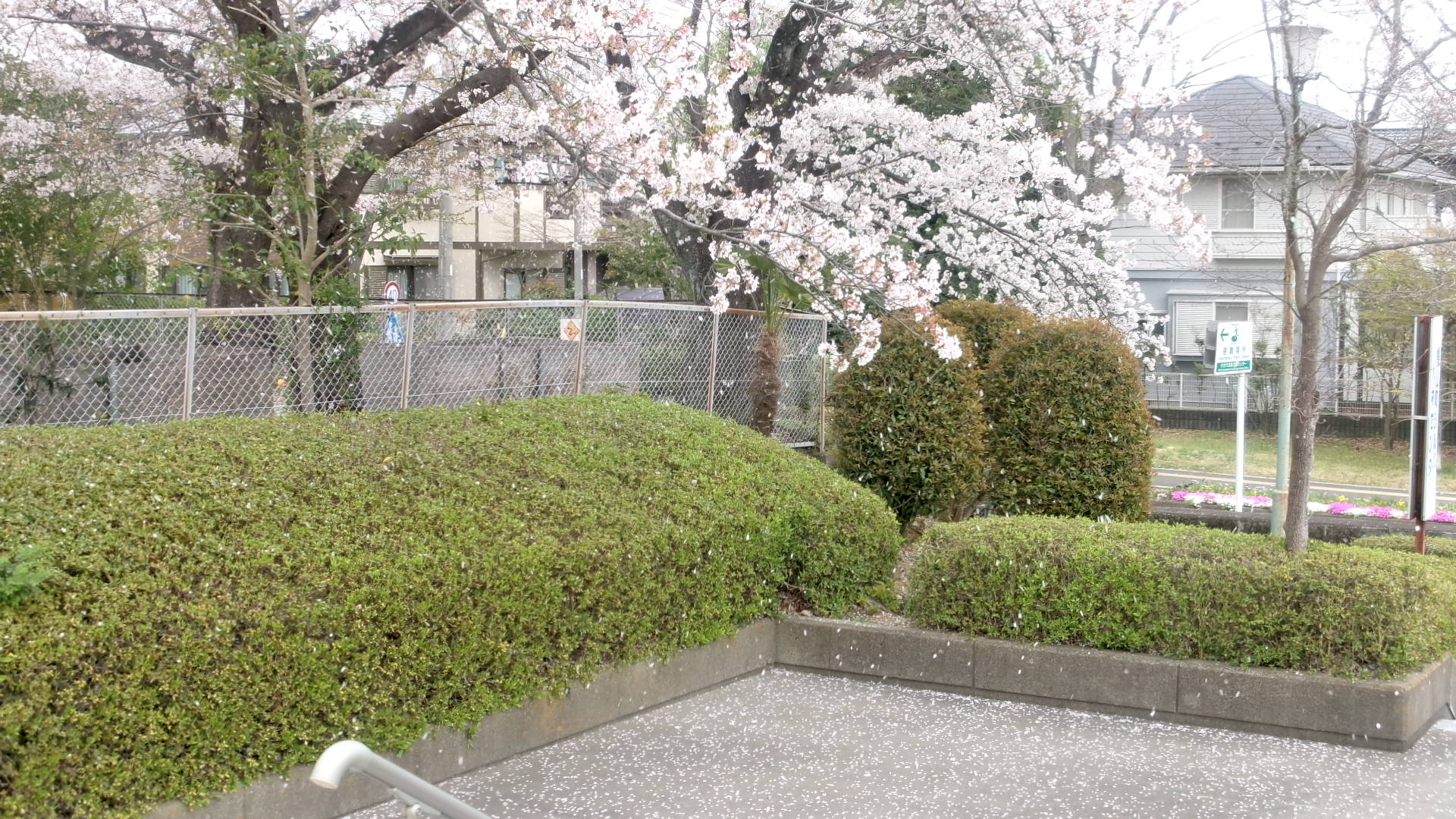 ほーかつ2