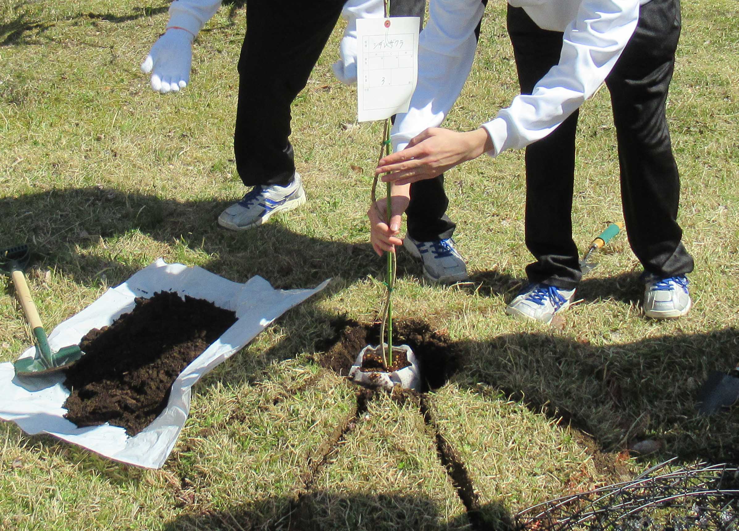 2020地球観測センター