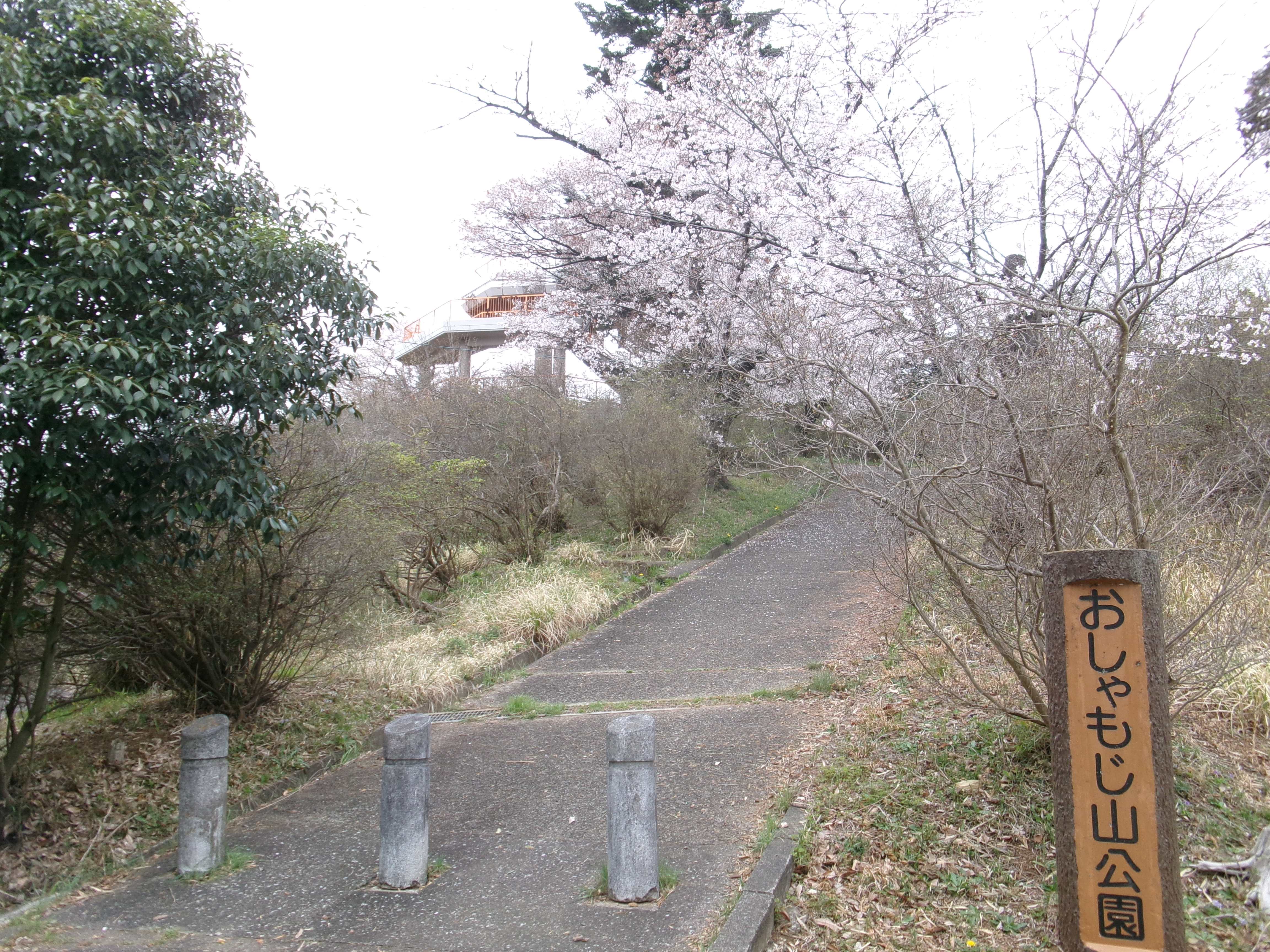 R8おしゃもじ山1