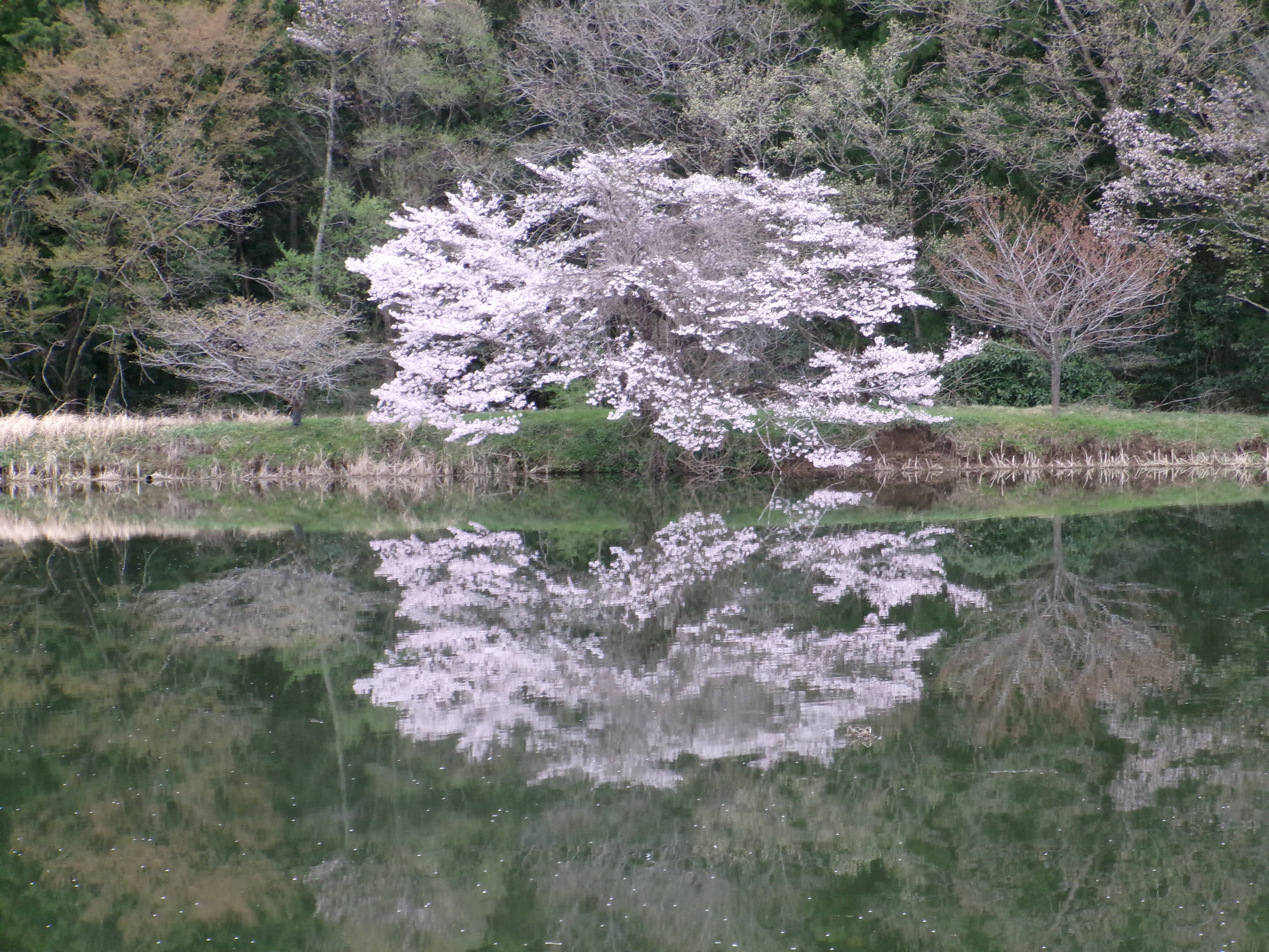R8東山沼