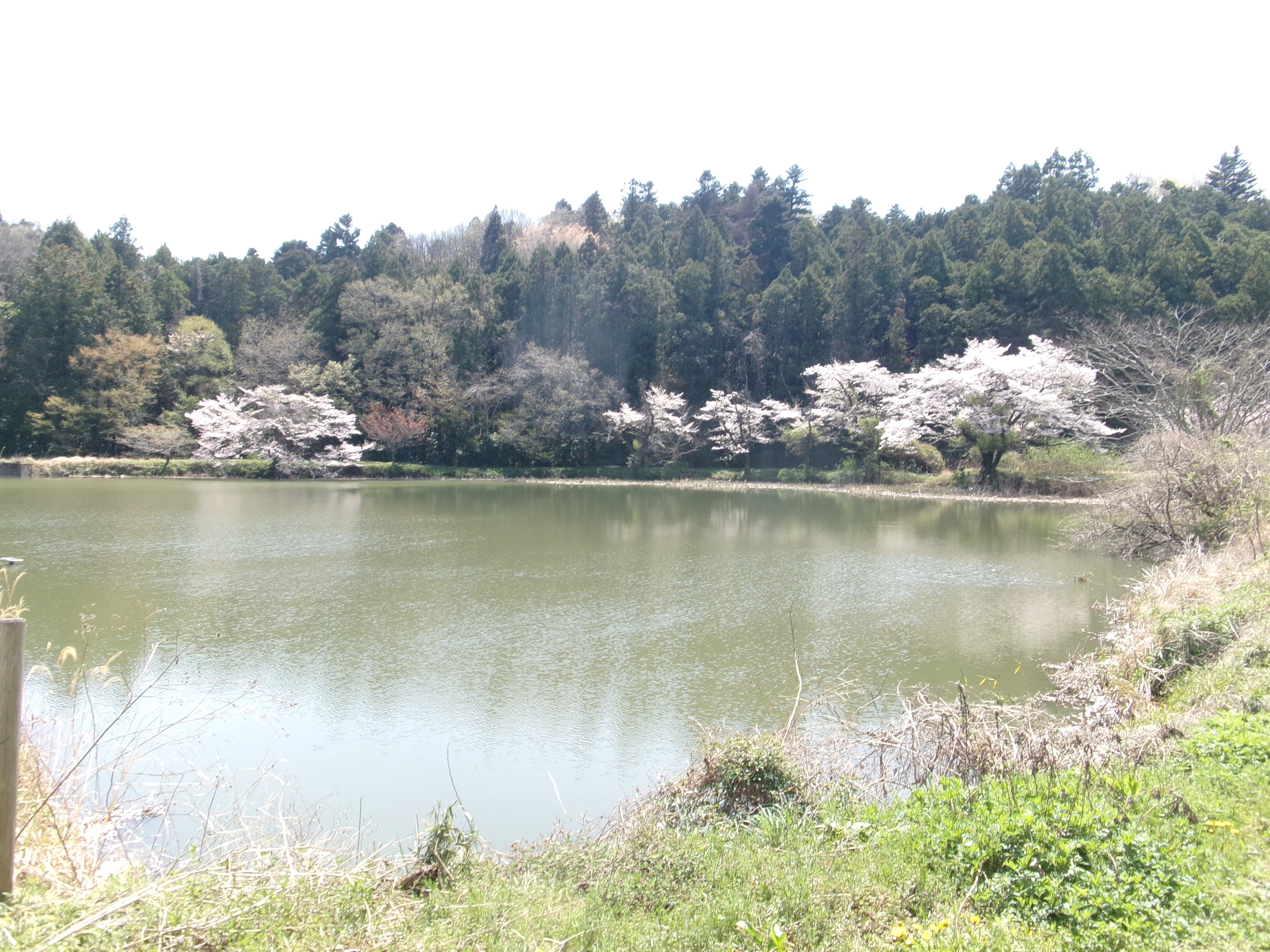R8.東山沼