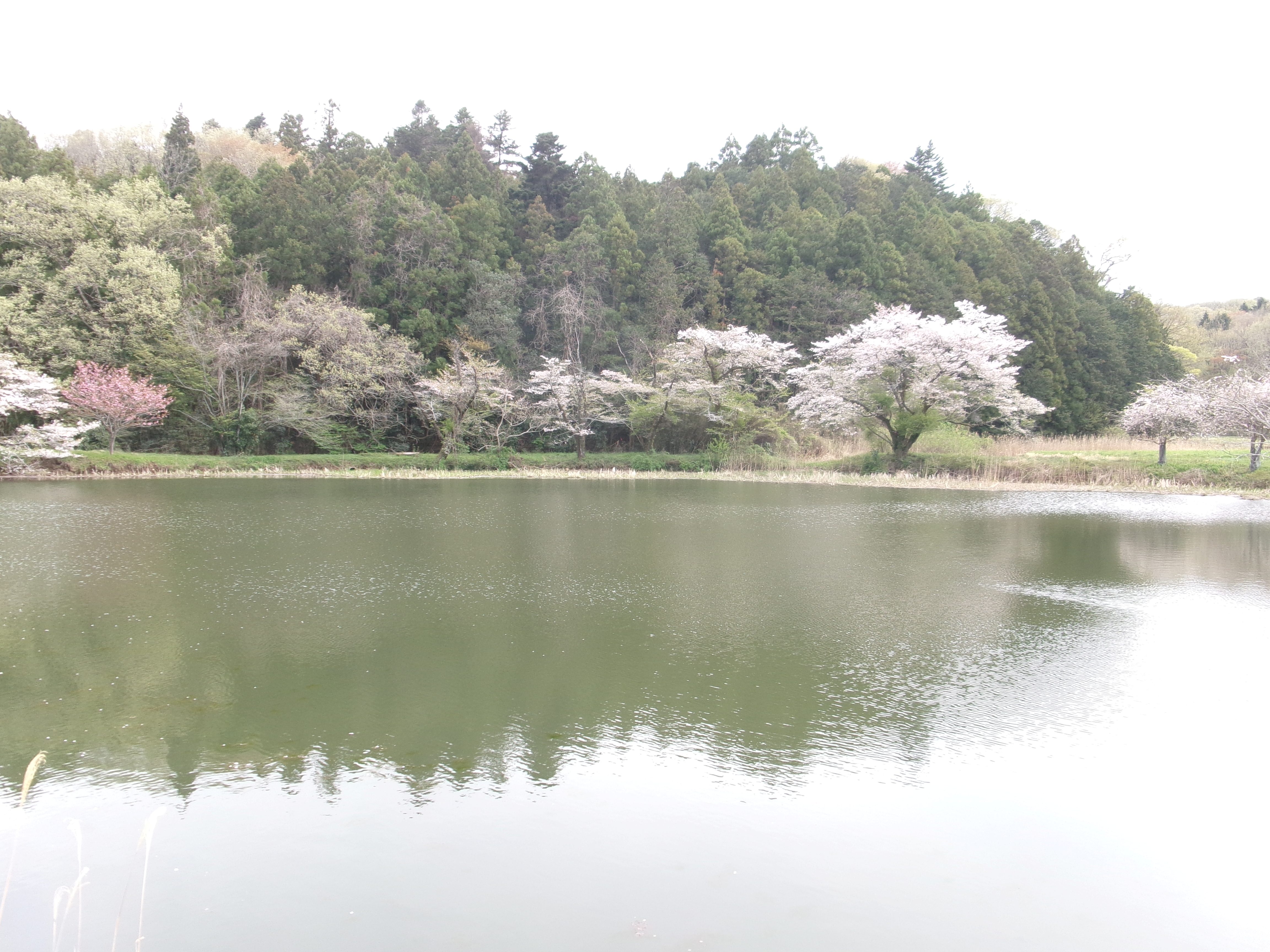 R8/東山沼