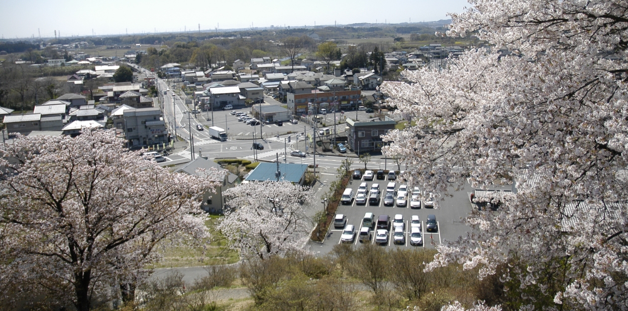 おしゃもじ山公園展望台から